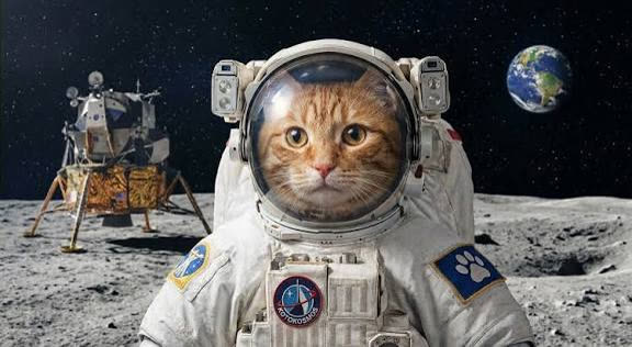 Roter Kater im Raumanzug auf dem Mond, Erde am Horizont